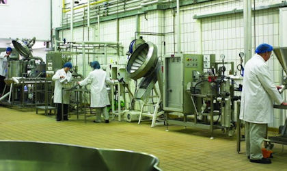 Food processing factory for sale uk outlet