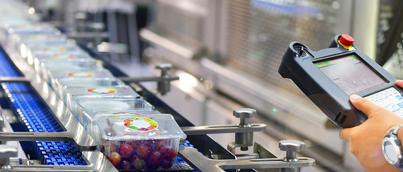 Food product being inspected on production line