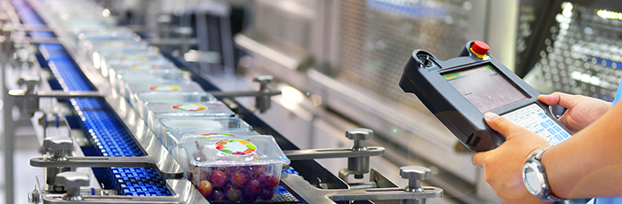 Food product being inspected on production line