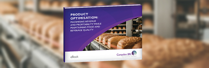 Product optimisation ebook mockup