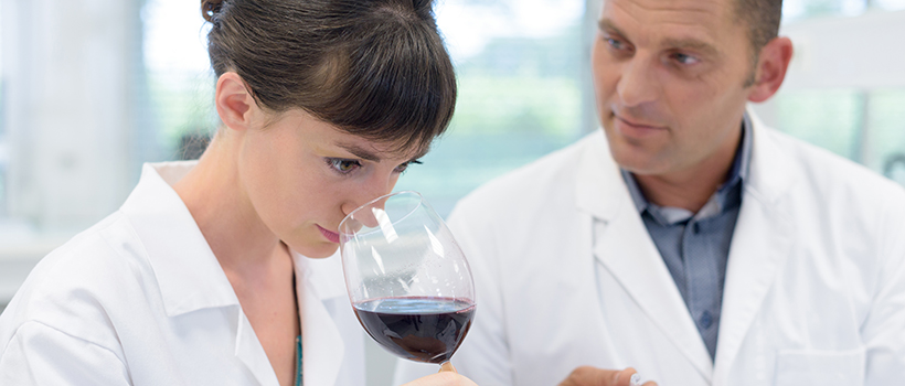 Scientist smelling wine in laboratory