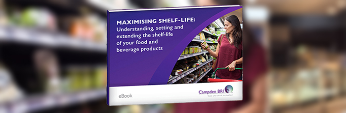 Shelf-life ebook mockup