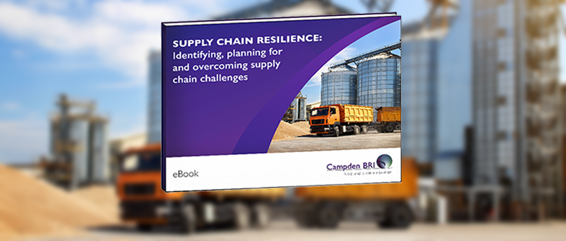 Supply chain resilience eBook mockup