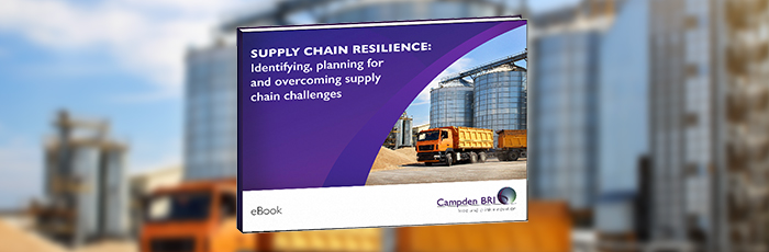 Supply chain resilience ebook mockup