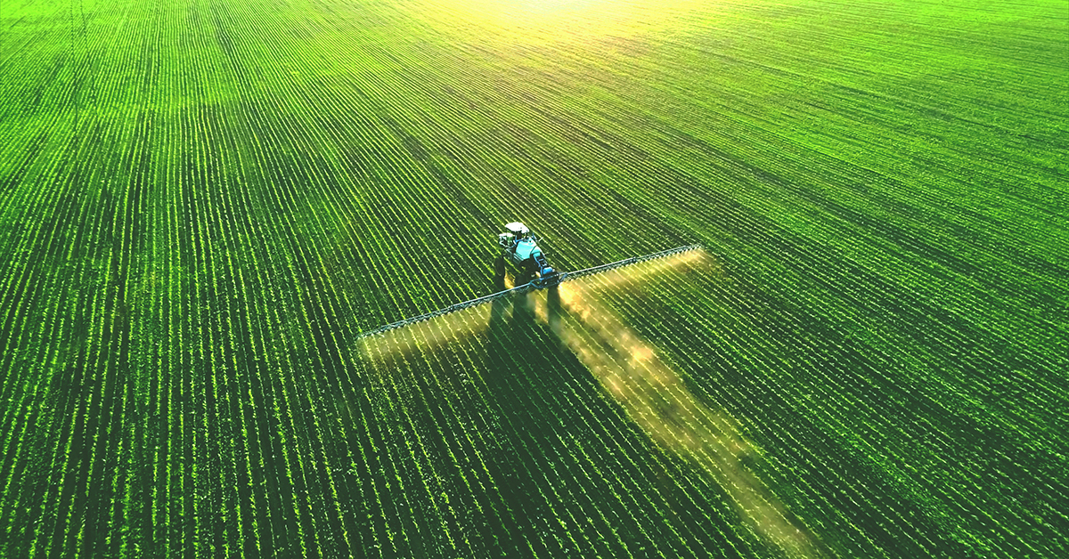 Tractor in large field fertilising crops with sun setting in background
