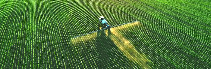 Tractor in large field fertilising crops with sun setting in background