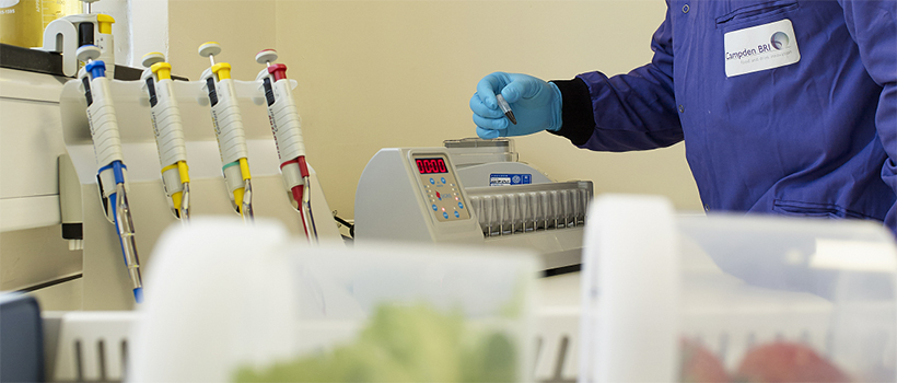 Testing in virus laboratory