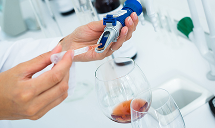 Scientist testing wine in laboratory