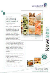 November newsletter PDF