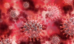 SARS-CoV-2 and foodborne viruses 