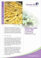 December newsletter PDF