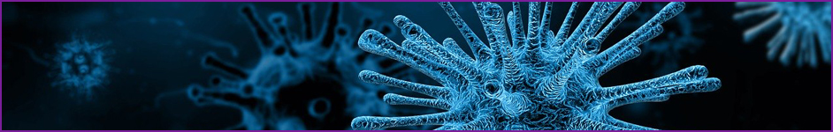 Information on the Coronavirus outbreak