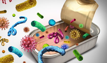 Contamination issues: Which foods are prone to which pathogens? And why?