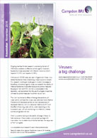 November newsletter PDF