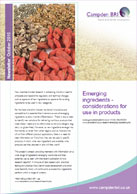 October newsletter PDF