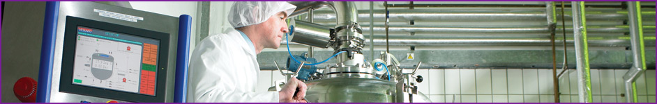 On-line technologies for food process control