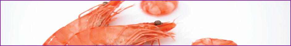 New project to extend fish and seafood shelf-life and reduce food waste