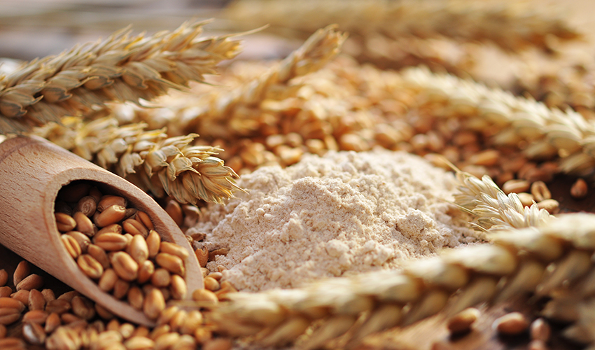 Cereals, flour and wheat