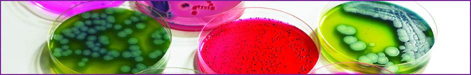 Microbiology panel