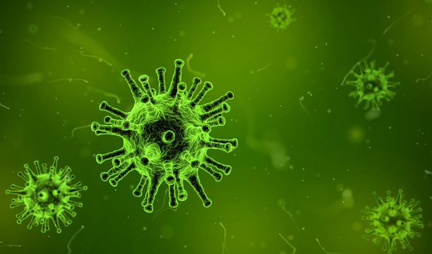 Virus graphic