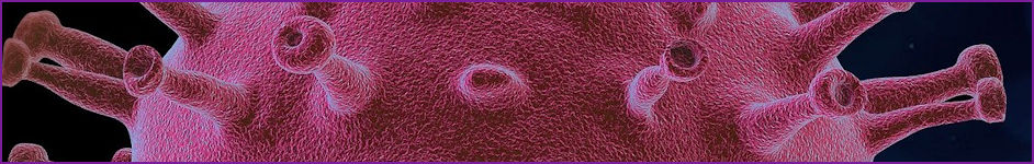 SARS-CoV-2 (COVID-19) environmental testing and prevention