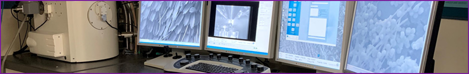 SEM equipment