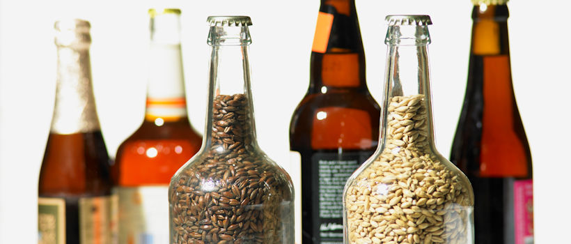 Malting and brewing trials for agrochemical residues testing