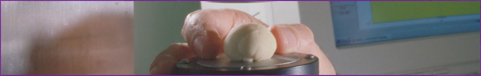 Food texture