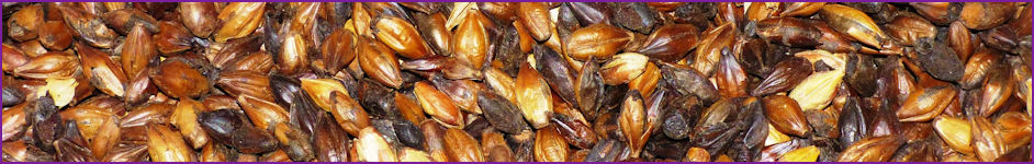 Malting and brewing trials for agrochemical
residues testing