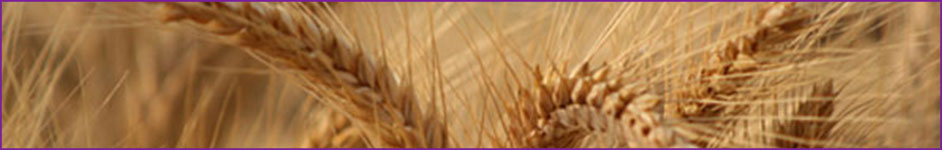 Pesticide taint testinge