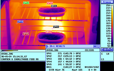 Thermal equipment measuring interface with thermometer gauge