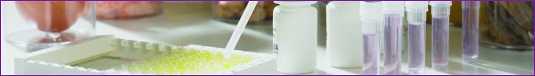 Food and drink industry training courses