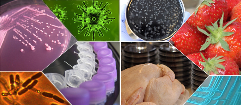 Hot topics in food microbiology