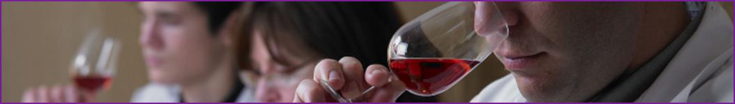 Food and drink industry training courses